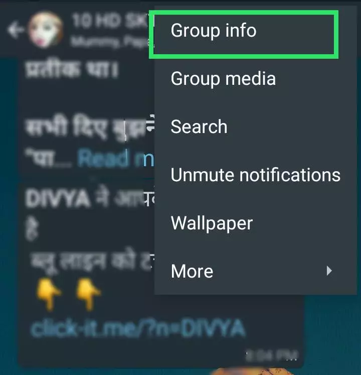 WhatsApp group info